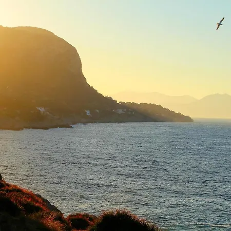 Bed and Breakfast Sixty One