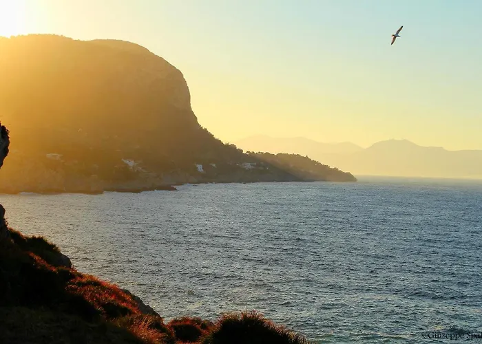 Bed & Breakfast Sixty One